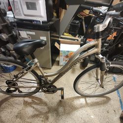 Beach Cruiser