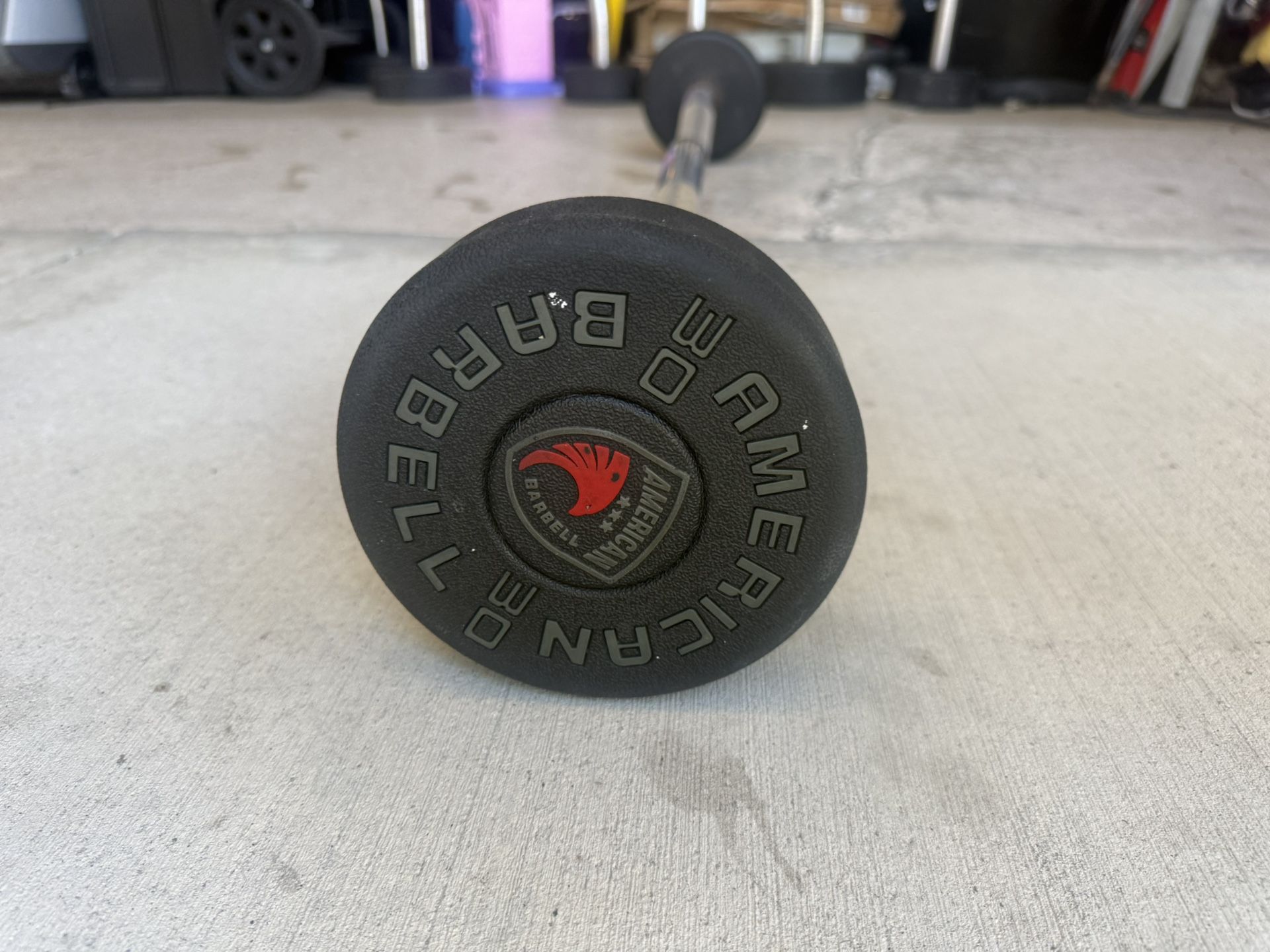 30lb Curl Bar Barbell