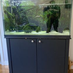 Fish Tank and Fish and Accessories