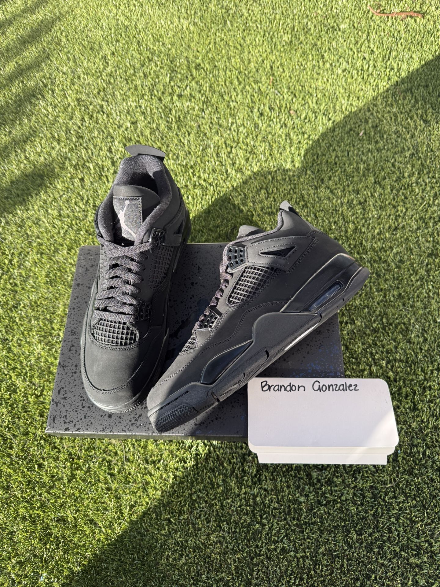 Air Jordan Black Cats 4