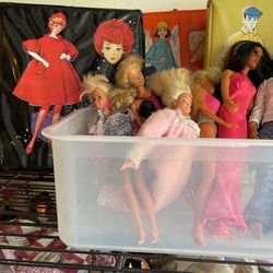 Barbies And Cases