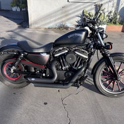 2013 Sportster 883 Custom Only 10k Miles