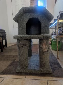 Used Cat Tower 72" As Is