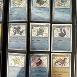 Pokemon Baby Shiny Lot