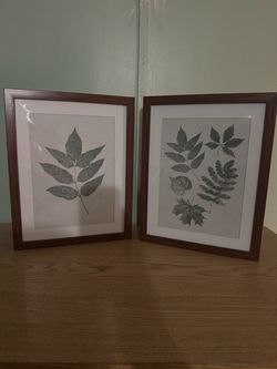 2 Plant Picture Frame