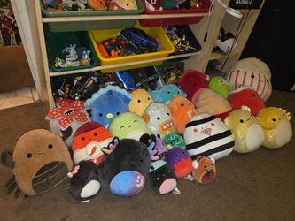 Squishmellows bundle