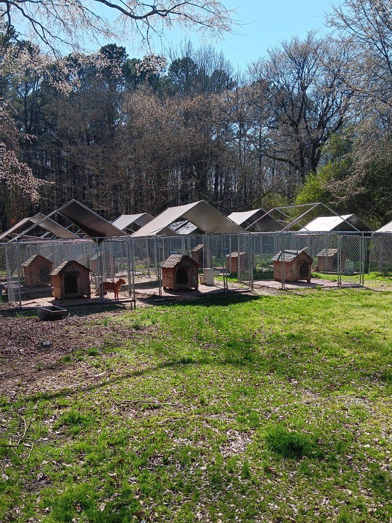 Dog Kennels And Dog House