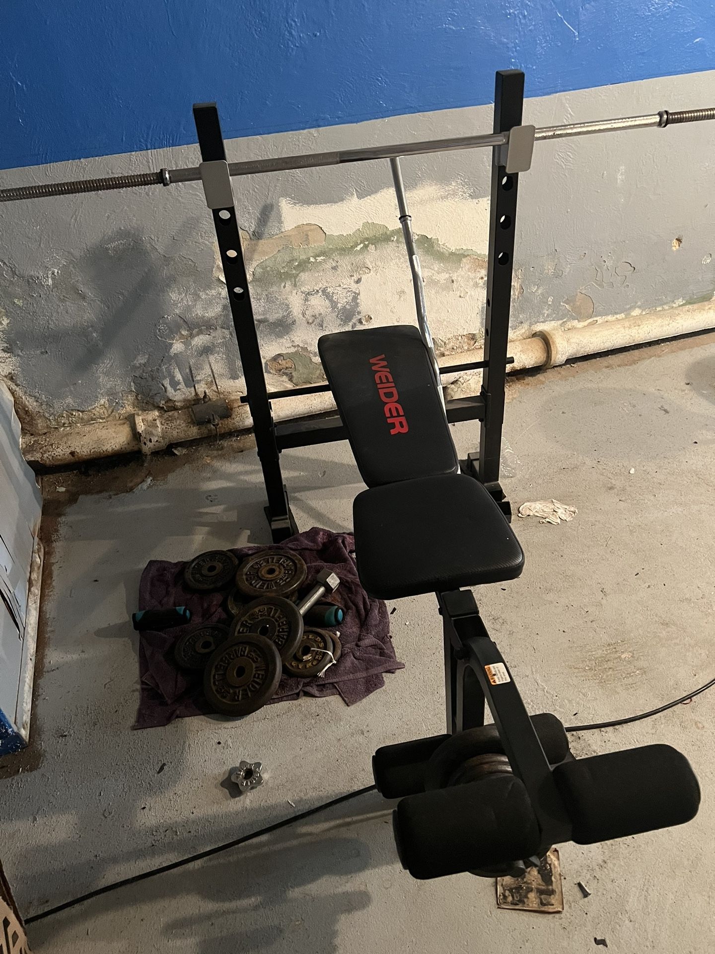 Bench And Curl Bar For Sale