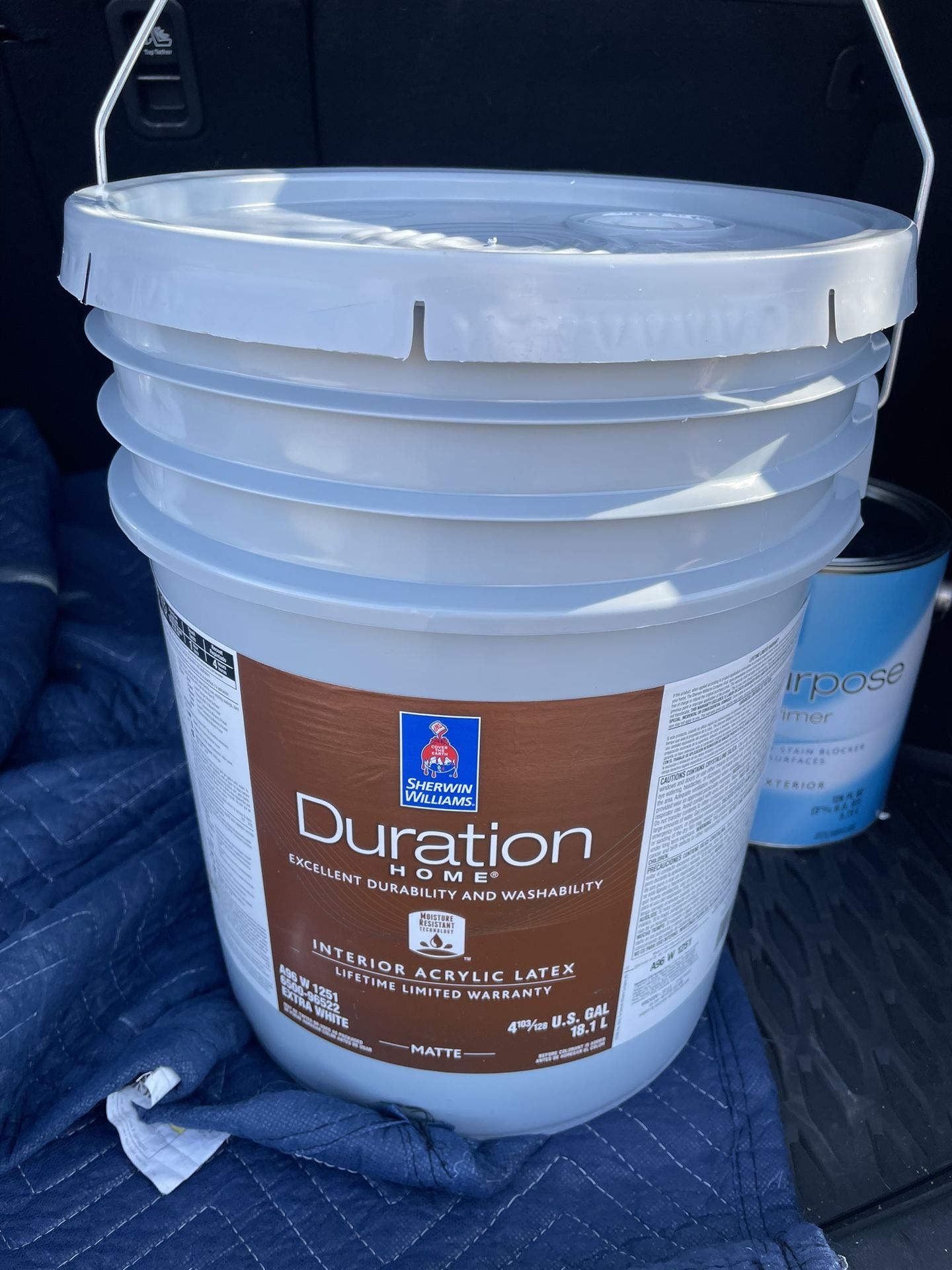 Sherwin Williams Duration Matte Pure White