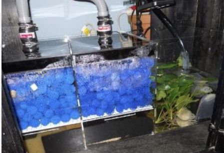 Custom 300 Gallon Aquarium