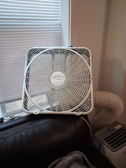 Fan
