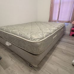 Queen Mattress 