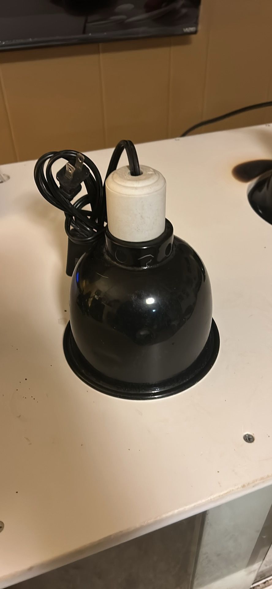 Reptile 6inch Dome Light/ Heat Lamp (Pending Pickup)