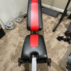 Complete Heavy-Duty Home Gym Station - Bowflex 5.1S Bench + CAP Power Rack