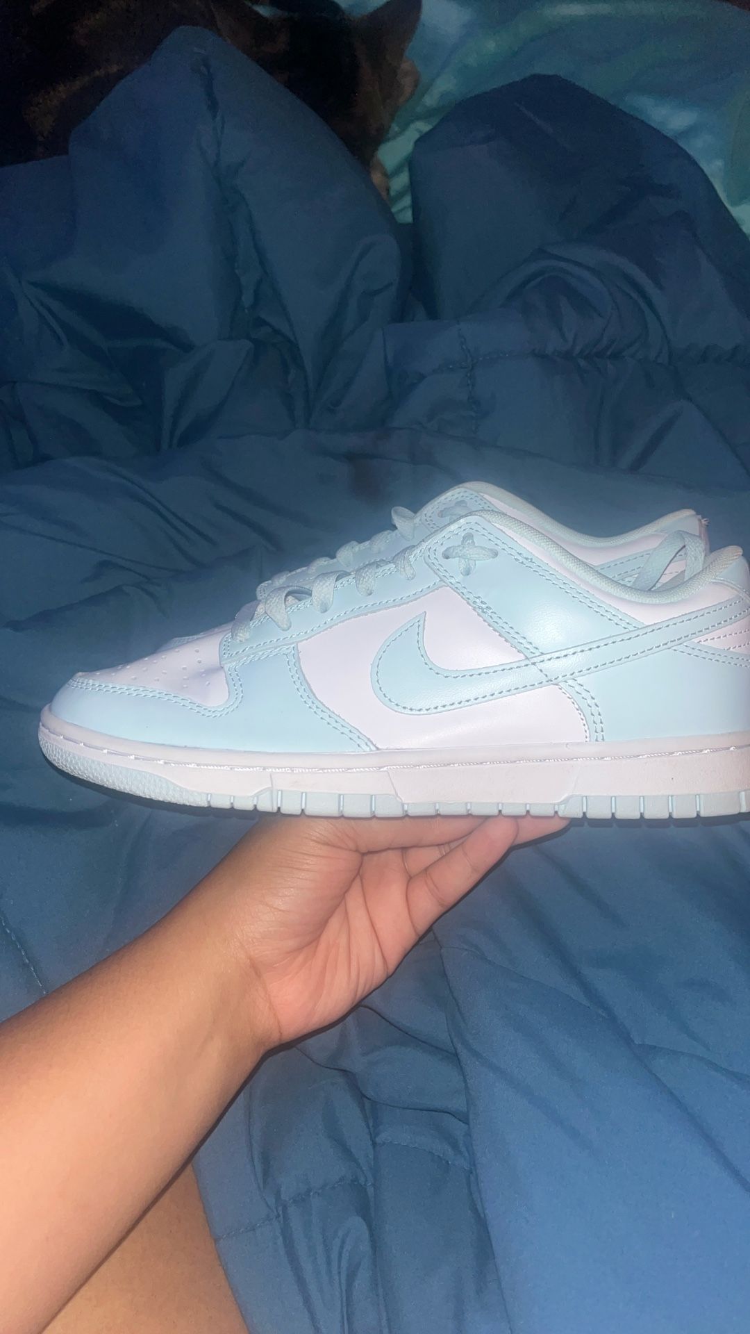 Nike Dunks Blue