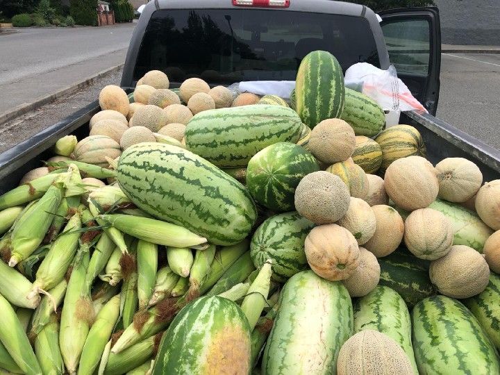 (contact info removed) Sandías Melones Calabazas Elotes