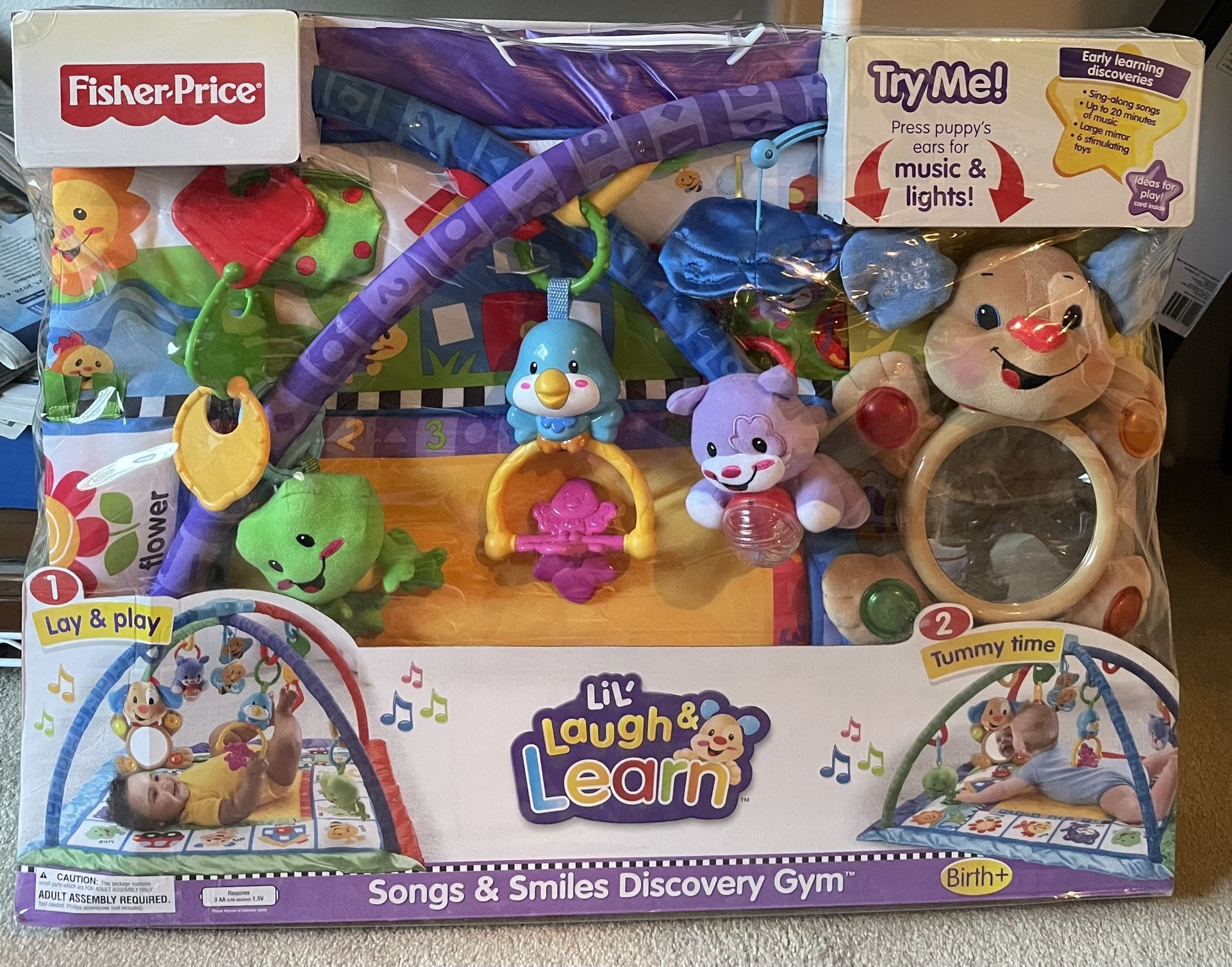 Fisher Price Songs & Smiles Discovery Gym