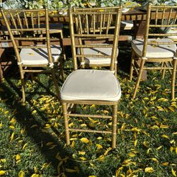 Gold Chiavari Chairs 