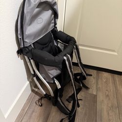 Chicco Carrier