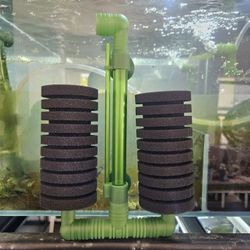 sponge filters