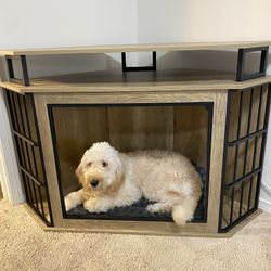 Large Furniture Crate / Kennel For Dogs Puppies 