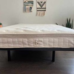Birch Natural Mattress (1 King)