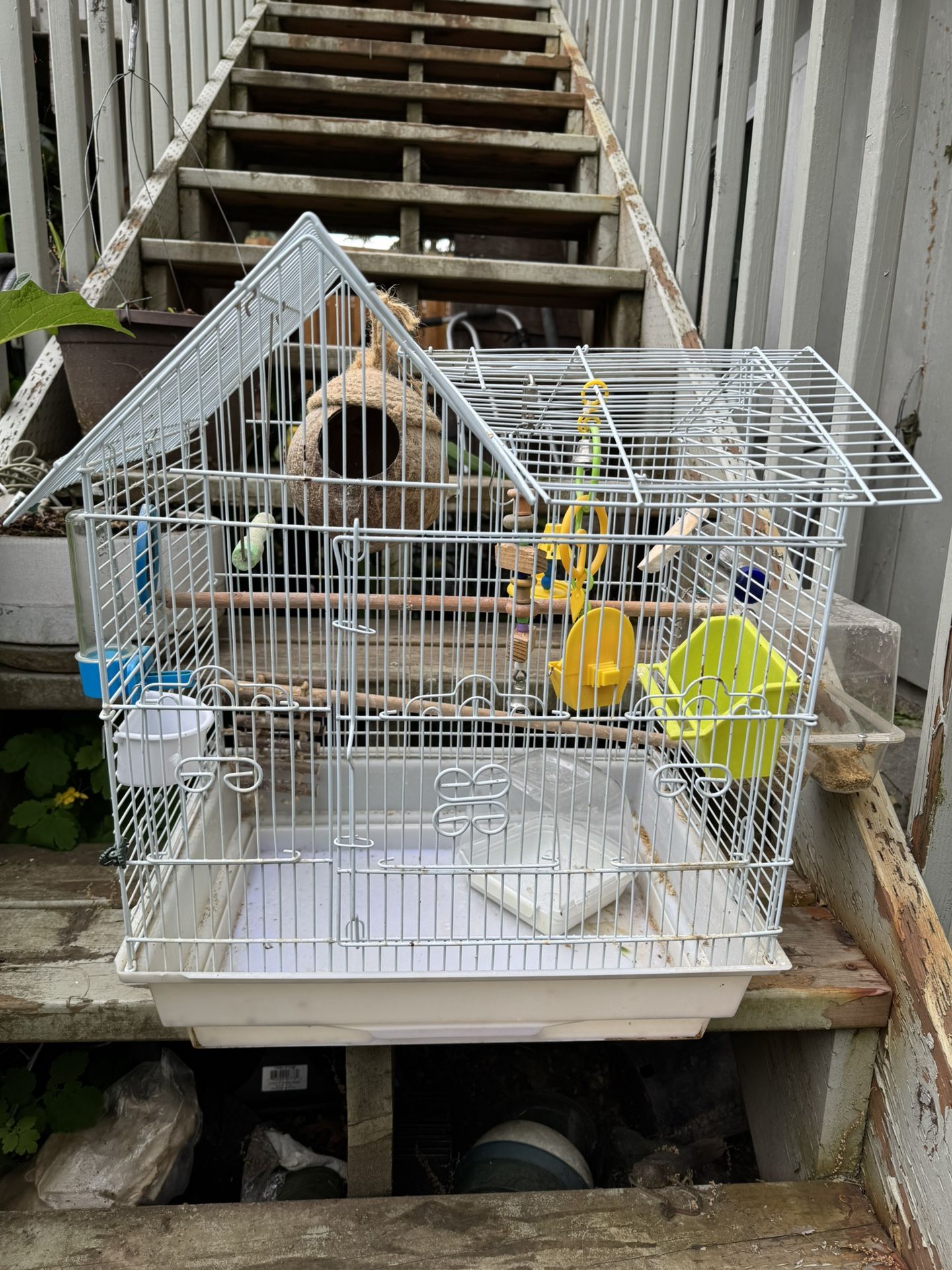 Bird Cage And Food