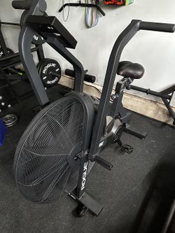 Rogue Echo Bike