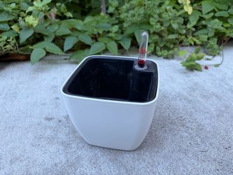 5” Self-Watering Plant Pot with Water Level Indicator – White
