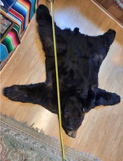 Black Bear Hide Rug with Head