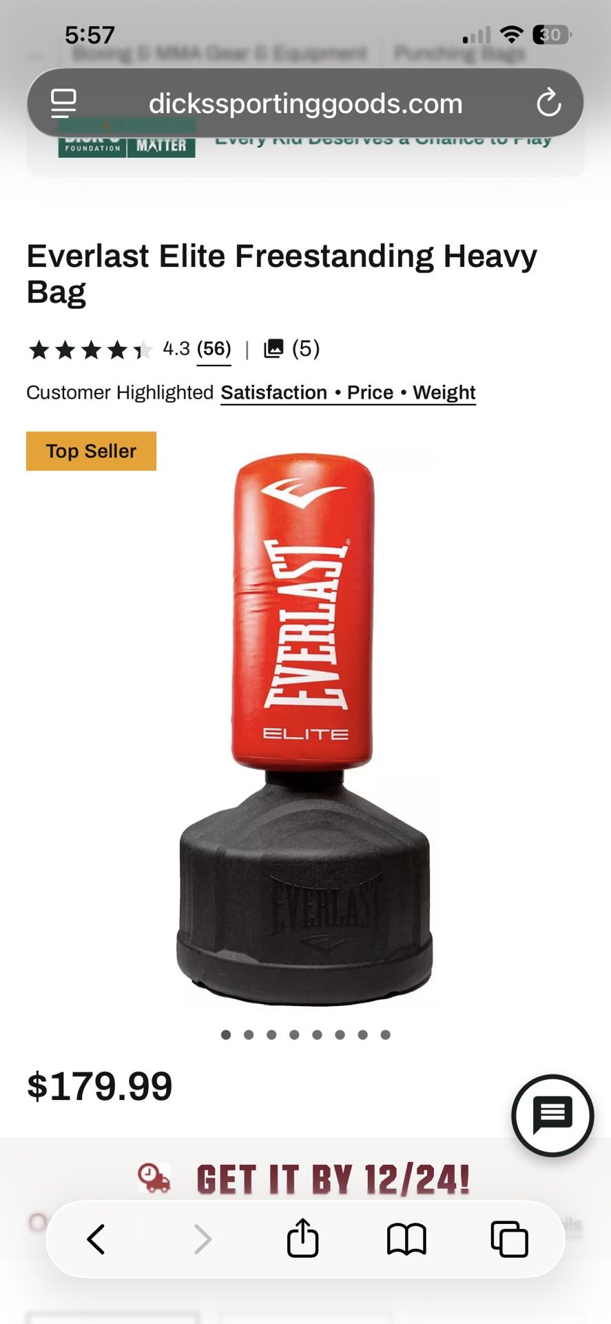 Everlast Elite Freestyle Heavybag
