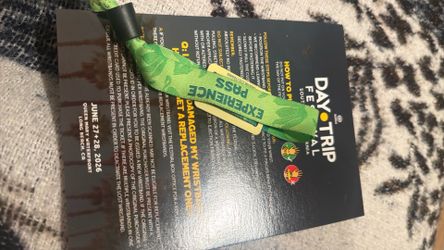 Daytrip Sunday ticket