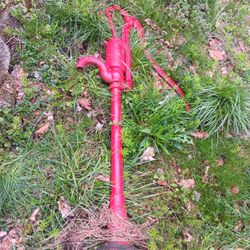 Vintage Well Pump 