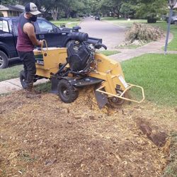 STUMP GRINDING