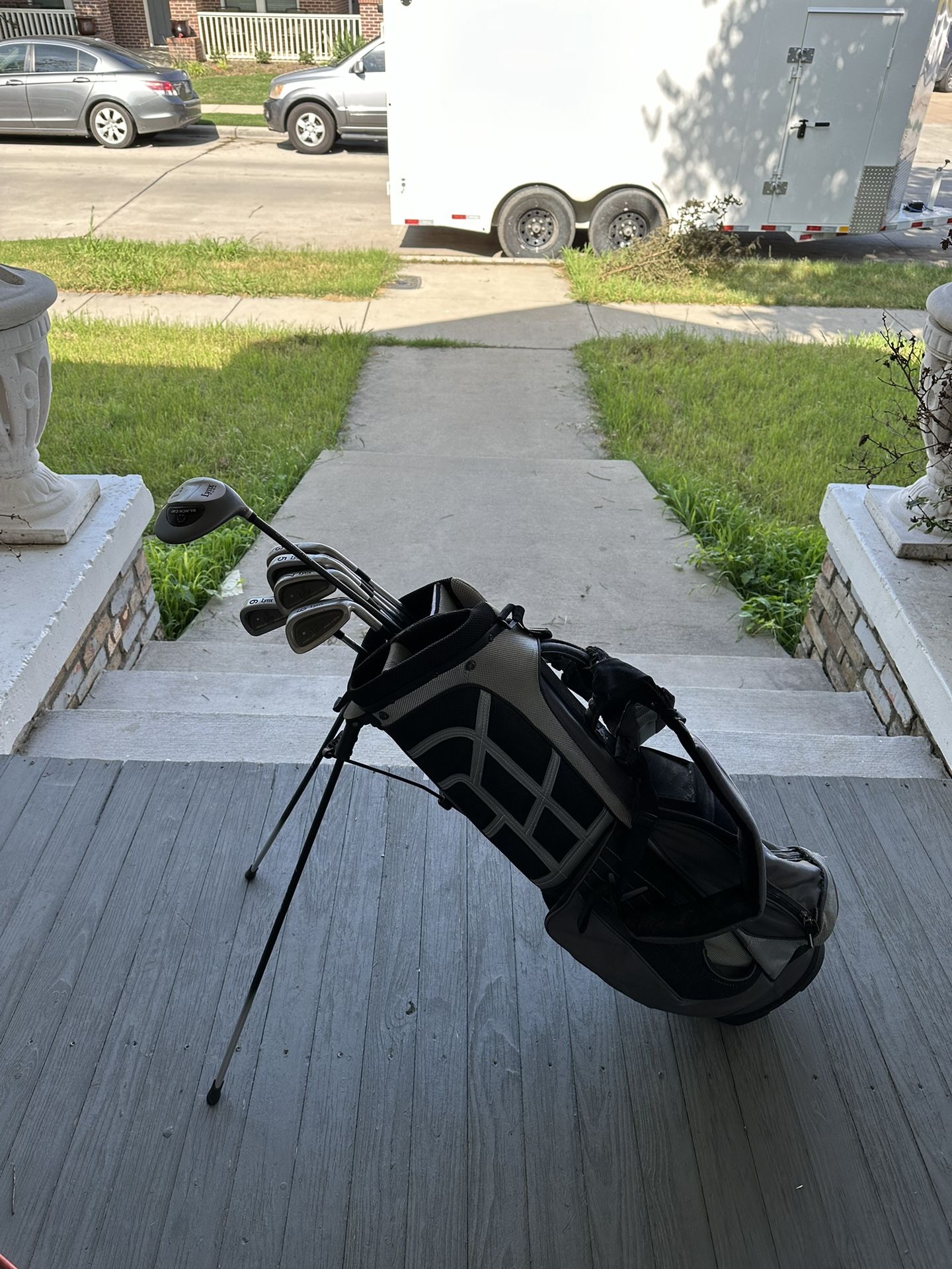 Lynx Golf Club Set, Lynx Parallax 3-9 Irons, Lynx Big Cat Driver, Callaway Golf Bag, Gold Dynamic
