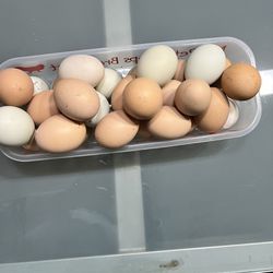 Free Range Fresh Eggs 