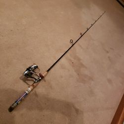 Pflueger President 