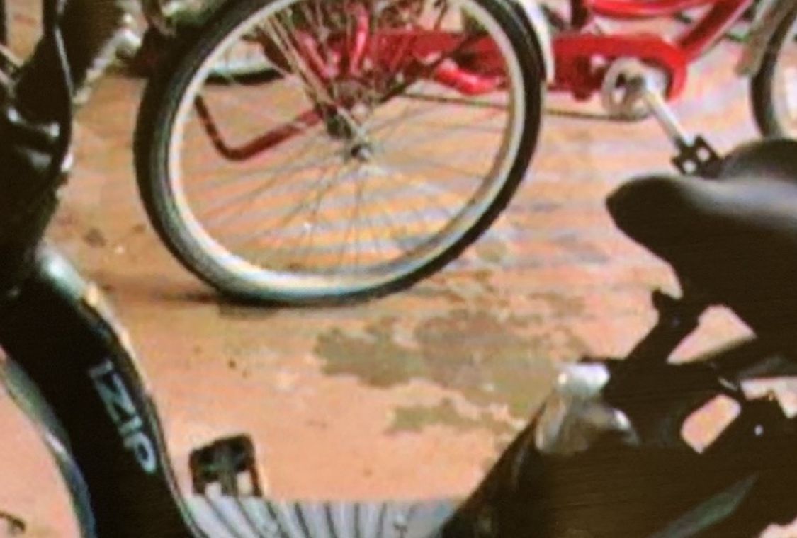 Electric Bikes Izip