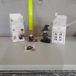 Harry Potter Hermione and Professor Minerva $4