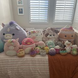 Squishmallows 
