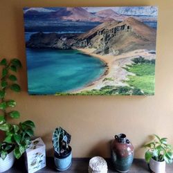 Galapagos Islands Canvas Print – NEW (With Box)