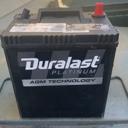 Duralast Platinum Agm Technology Battery 