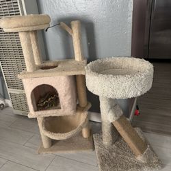 Cat Trees