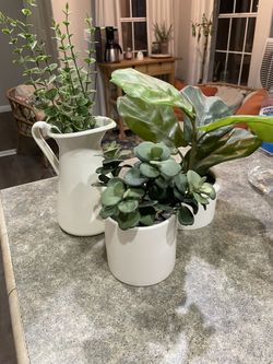Set of 3 Fake Plant Decorations