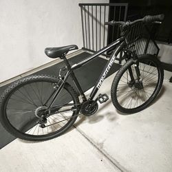 Mongoose excursion 2024 29