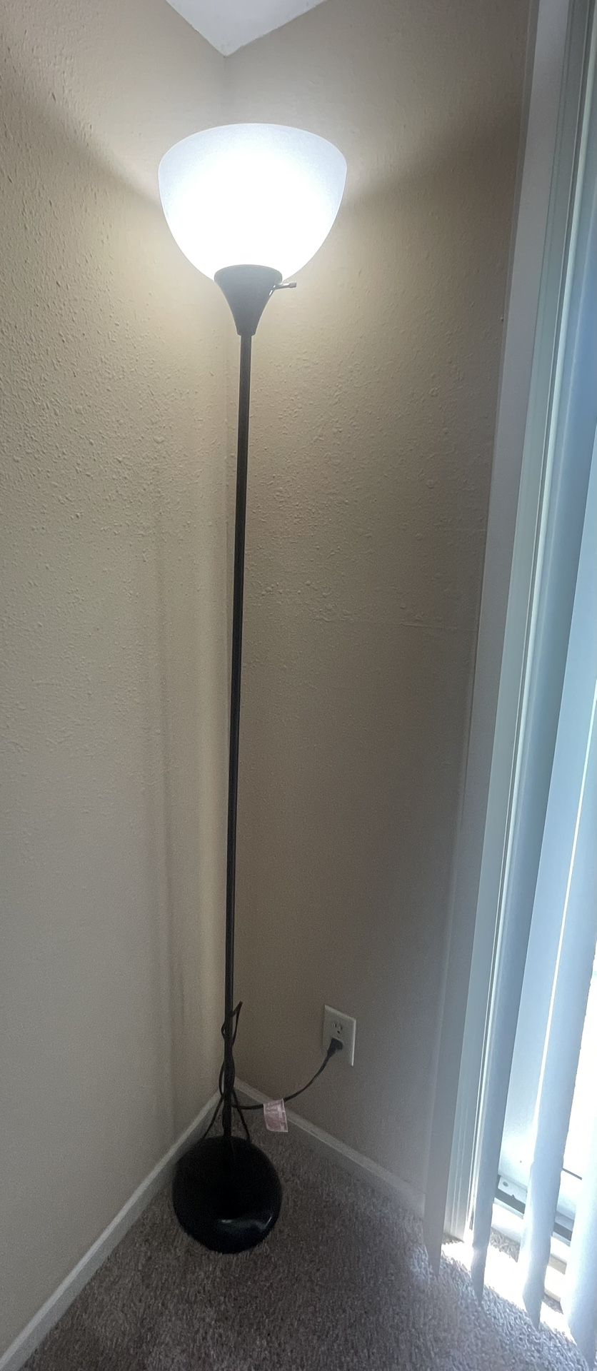 2 Floor Lamps