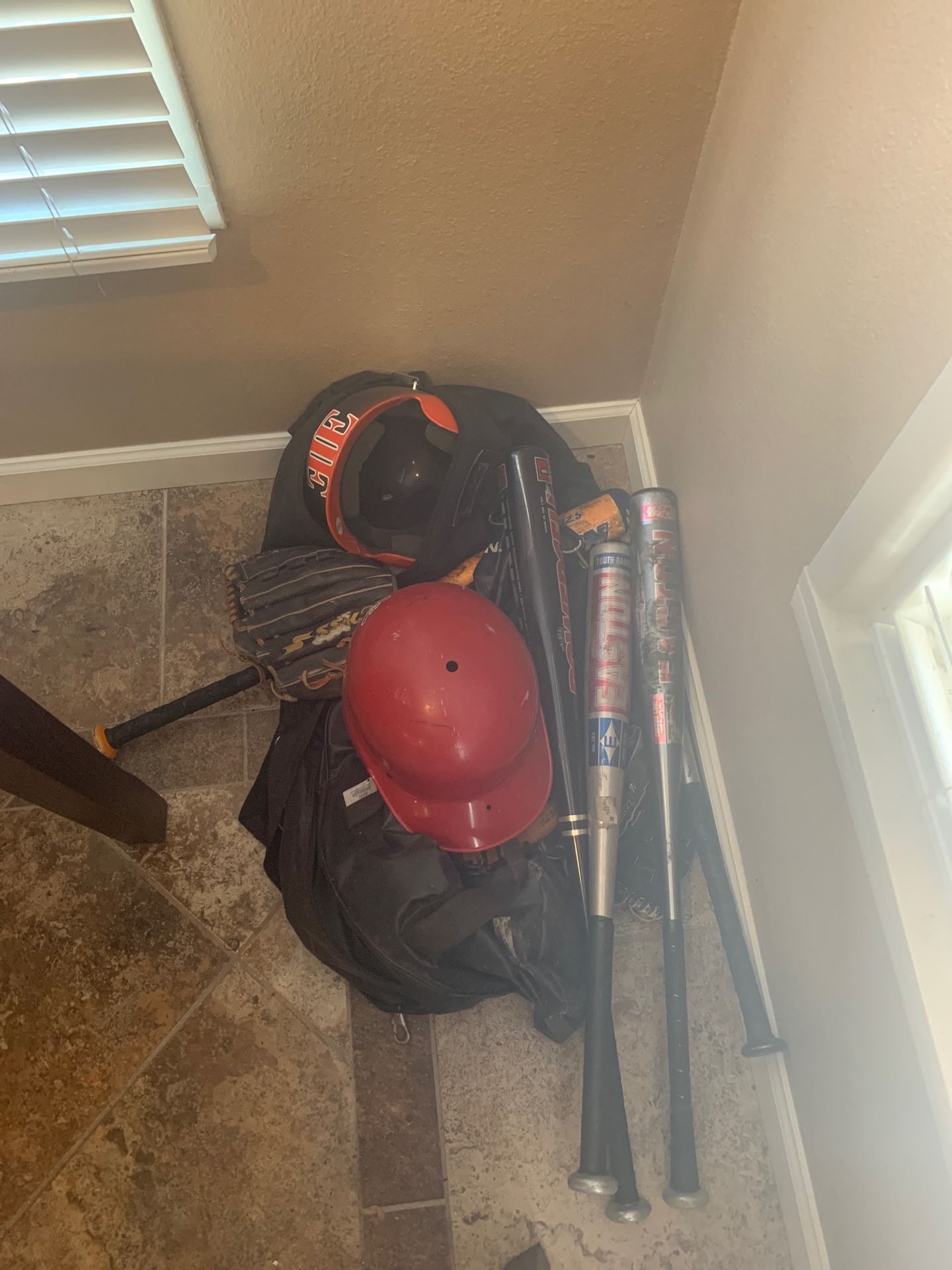 2 baseball bags three gloves all left handed for right handed throwers 5 bats and 2 helmets