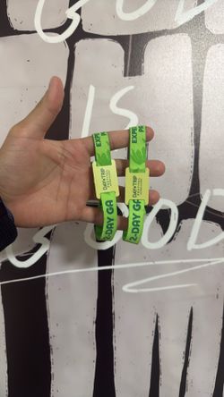 Day Trip 2- Day GA Wristband