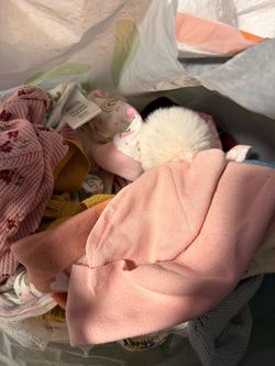 Bag full of baby beanies/ head bows