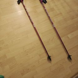 Ladies Ski Poles, 44"